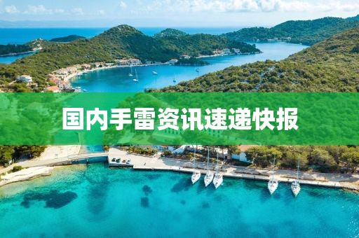 国内手雷资讯速递快报