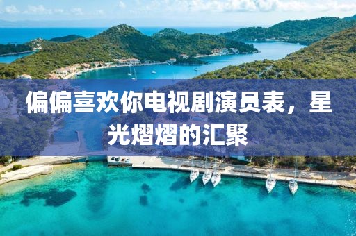 偏偏喜欢你电视剧演员表，星光熠熠的汇聚
