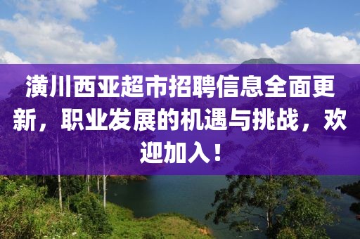 潢川西亚超市招聘信息全面更新，职业发展的机遇与挑战，欢迎加入！