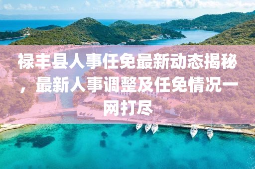 禄丰县人事任免最新动态揭秘，最新人事调整及任免情况一网打尽