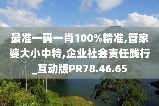 最准一码一肖100%精准,管家婆大小中特,企业社会责任践行_互动版PR78.46.65
