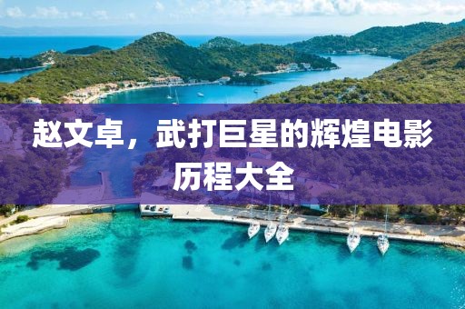 赵文卓，武打巨星的辉煌电影历程大全