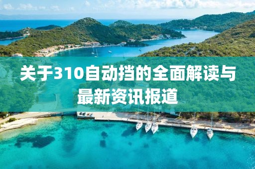 关于310自动挡的全面解读与最新资讯报道