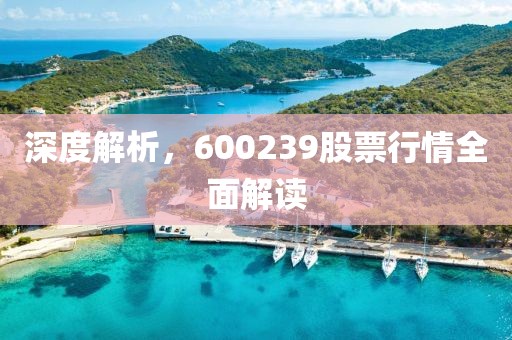 深度解析，600239股票行情全面解读