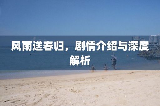 风雨送春归，剧情介绍与深度解析