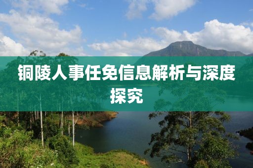 铜陵人事任免信息解析与深度探究