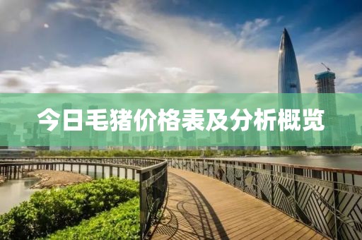 今日毛猪价格表及分析概览