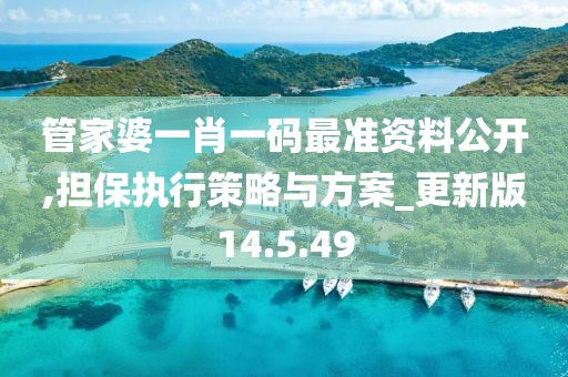 管家婆一肖一码最准资料公开,担保执行策略与方案_更新版14.5.49