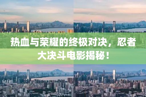 热血与荣耀的终极对决，忍者大决斗电影揭秘！