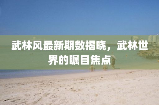武林风最新期数揭晓，武林世界的瞩目焦点