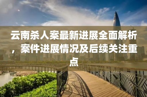 云南杀人案最新进展全面解析，案件进展情况及后续关注重点