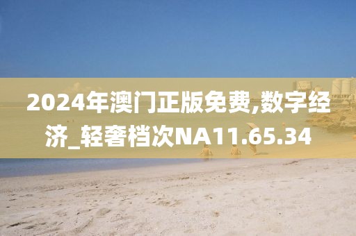 2024年澳门正版免费,数字经济_轻奢档次NA11.65.34