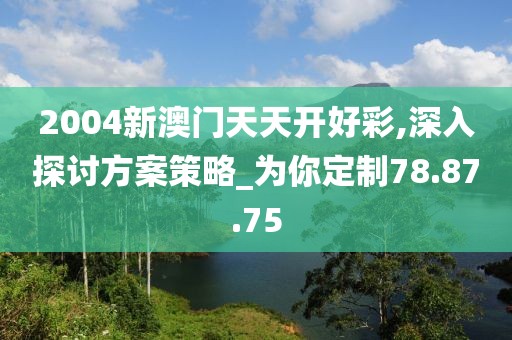 2004新澳门天天开好彩,深入探讨方案策略_为你定制78.87.75