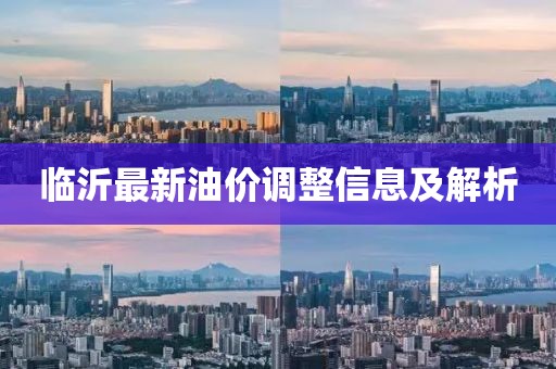 临沂最新油价调整信息及解析