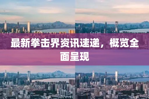 最新拳击界资讯速递，概览全面呈现