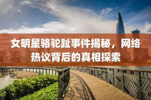 女明星骆驼趾事件揭秘，网络热议背后的真相探索