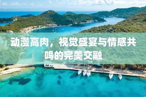 动漫高肉，视觉盛宴与情感共鸣的完美交融