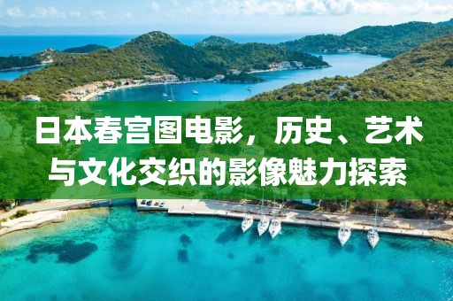 日本春宫图电影，历史、艺术与文化交织的影像魅力探索