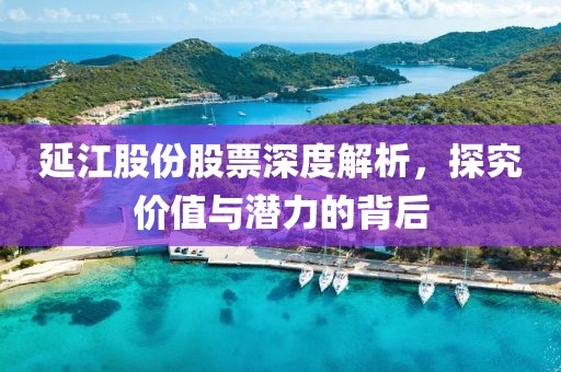 延江股份股票深度解析，探究价值与潜力的背后