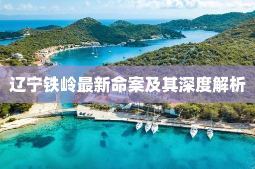 辽宁铁岭最新命案及其深度解析