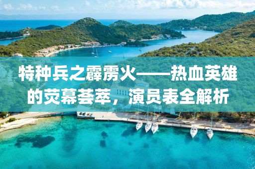 特种兵之霹雳火——热血英雄的荧幕荟萃，演员表全解析