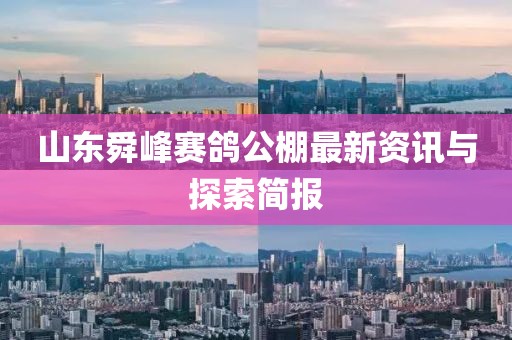 山东舜峰赛鸽公棚最新资讯与探索简报