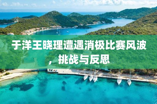 于洋王晓理遭遇消极比赛风波，挑战与反思