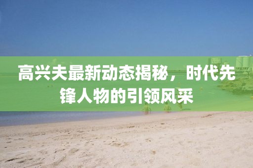 高兴夫最新动态揭秘，时代先锋人物的引领风采