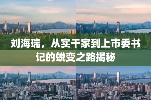 刘海瑞，从实干家到上市委书记的蜕变之路揭秘