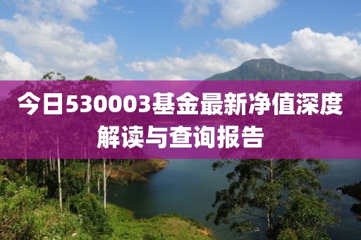 今日530003基金最新净值深度解读与查询报告