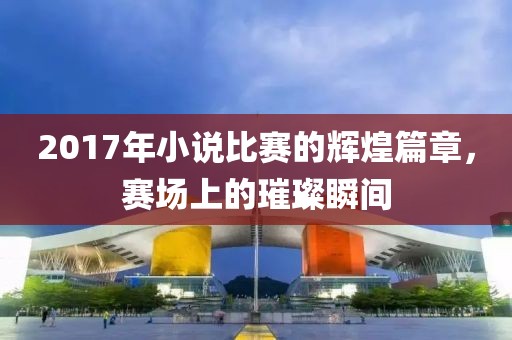 2017年小说比赛的辉煌篇章，赛场上的璀璨瞬间