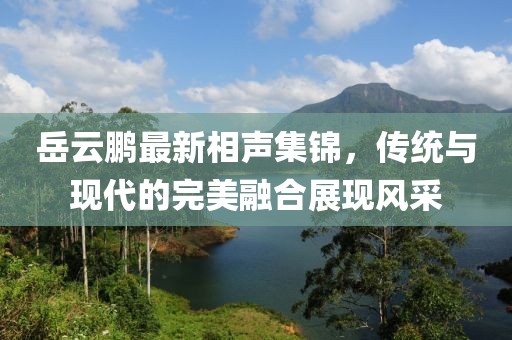 岳云鹏最新相声集锦，传统与现代的完美融合展现风采