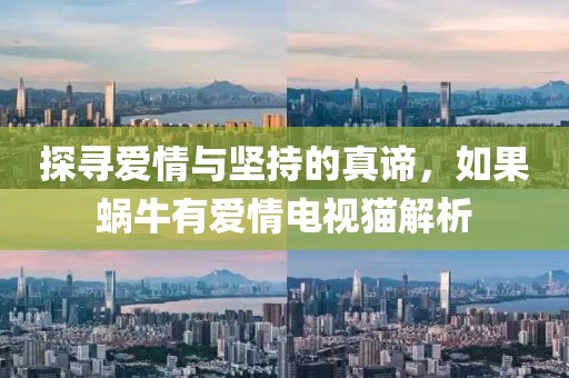 探寻爱情与坚持的真谛，如果蜗牛有爱情电视猫解析
