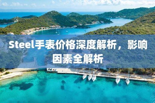 Steel手表价格深度解析，影响因素全解析