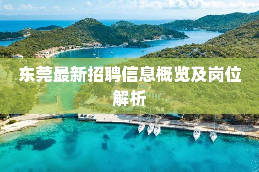 东莞最新招聘信息概览及岗位解析