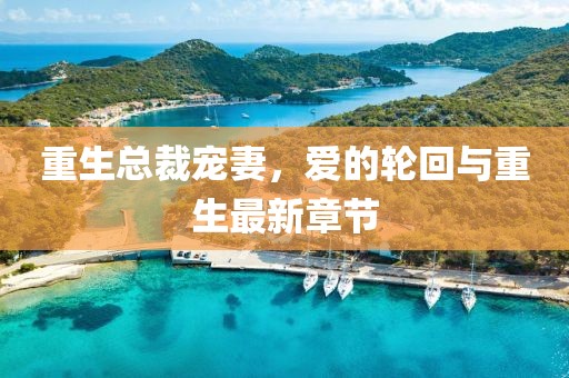 重生总裁宠妻，爱的轮回与重生最新章节
