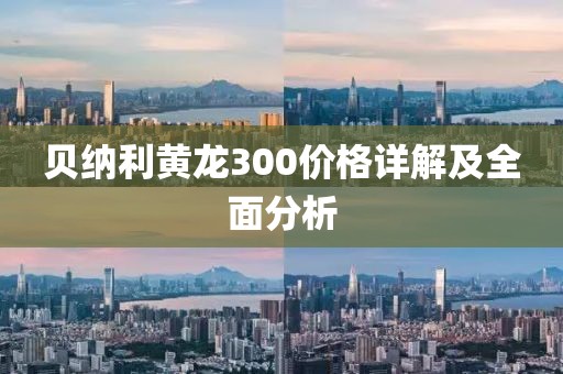 贝纳利黄龙300价格详解及全面分析