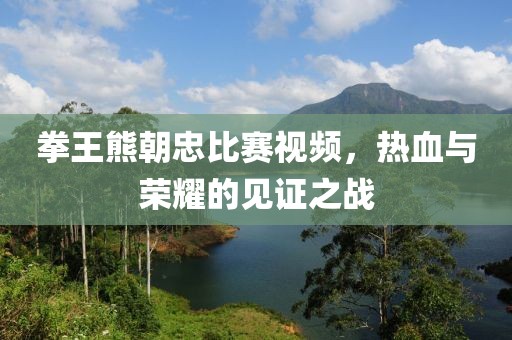 拳王熊朝忠比赛视频，热血与荣耀的见证之战
