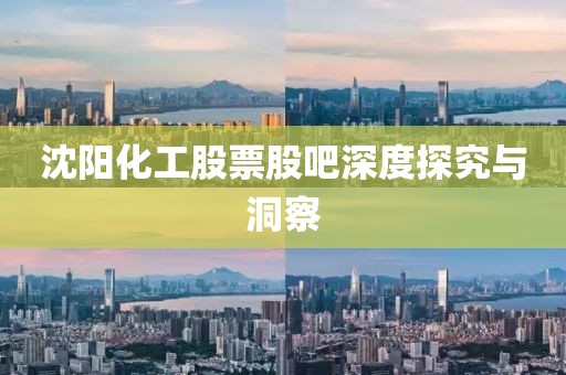 沈阳化工股票股吧深度探究与洞察