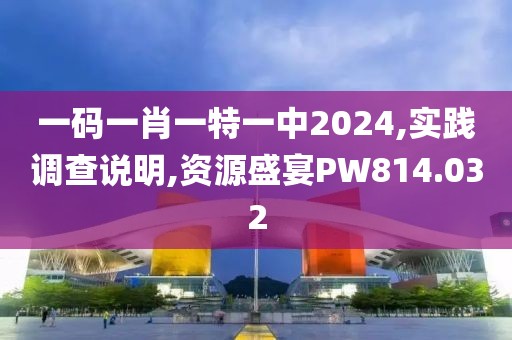 一码一肖一特一中2024,实践调查说明,资源盛宴PW814.032