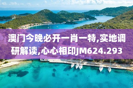 澳门今晚必开一肖一特,实地调研解读,心心相印JM624.293