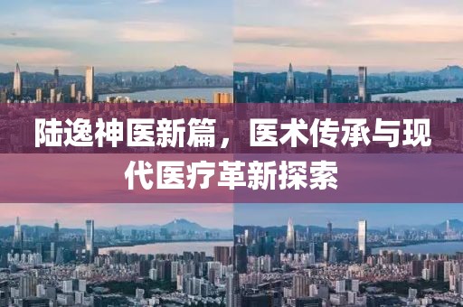 陆逸神医新篇，医术传承与现代医疗革新探索