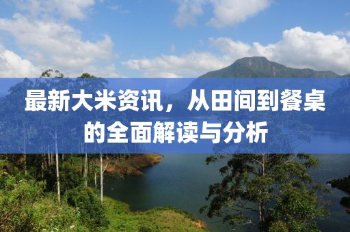 最新大米资讯，从田间到餐桌的全面解读与分析
