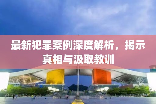 最新犯罪案例深度解析，揭示真相与汲取教训