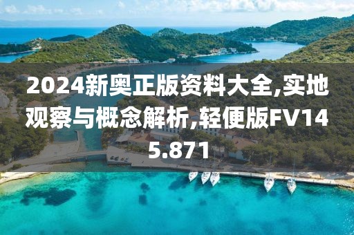 2024新奥正版资料大全,实地观察与概念解析,轻便版FV145.871