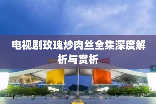 电视剧玫瑰炒肉丝全集深度解析与赏析