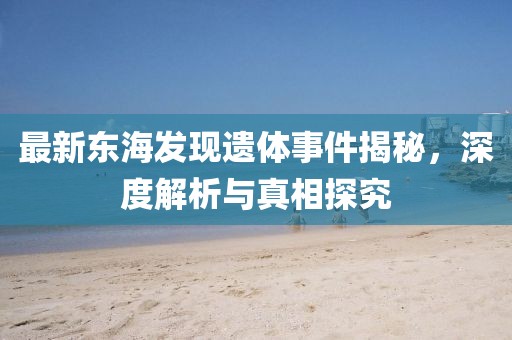 最新东海发现遗体事件揭秘，深度解析与真相探究