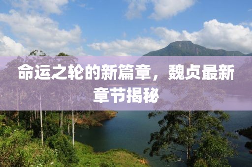 命运之轮的新篇章，魏贞最新章节揭秘