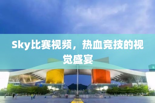 Sky比赛视频，热血竞技的视觉盛宴