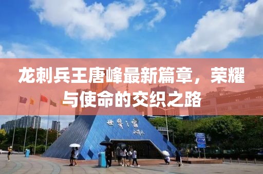 龙刺兵王唐峰最新篇章，荣耀与使命的交织之路